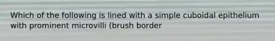 Which of the following is lined with a simple cuboidal epithelium with prominent microvilli (brush border