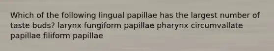 Which of the following lingual papillae has the largest number of taste buds? larynx fungiform papillae pharynx circumvallate papillae filiform papillae