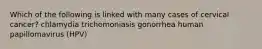 Which of the following is linked with many cases of cervical cancer? chlamydia trichomoniasis gonorrhea human papillomavirus (HPV)