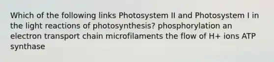 Which of the following links Photosystem II and Photosystem I in the light reactions of photosynthesis? phosphorylation an electron transport chain microfilaments the flow of H+ ions ATP synthase