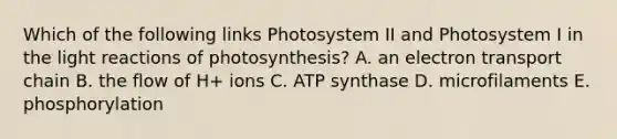 Which of the following links Photosystem II and Photosystem I in the light reactions of photosynthesis? A. an electron transport chain B. the flow of H+ ions C. ATP synthase D. microfilaments E. phosphorylation