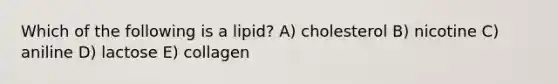 Which of the following is a lipid? A) cholesterol B) nicotine C) aniline D) lactose E) collagen