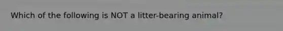 Which of the following is NOT a litter-bearing animal?