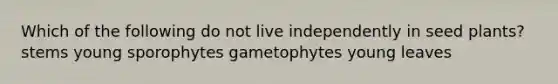 Which of the following do not live independently in seed plants? stems young sporophytes gametophytes young leaves