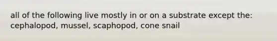 all of the following live mostly in or on a substrate except the: cephalopod, mussel, scaphopod, cone snail