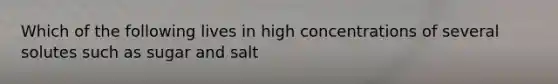 Which of the following lives in high concentrations of several solutes such as sugar and salt