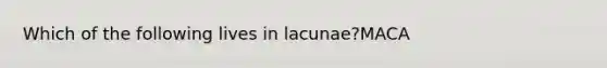 Which of the following lives in lacunae?MACA