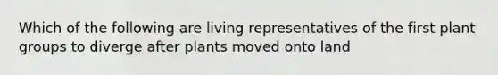 Which of the following are living representatives of the first plant groups to diverge after plants moved onto land