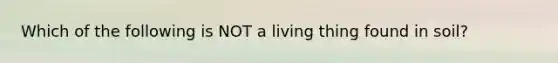 Which of the following is NOT a living thing found in soil?