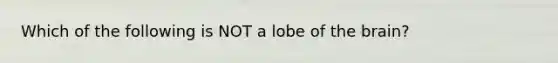 Which of the following is NOT a lobe of the brain?