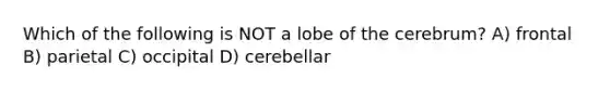 Which of the following is NOT a lobe of the cerebrum? A) frontal B) parietal C) occipital D) cerebellar