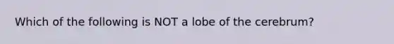 Which of the following is NOT a lobe of the cerebrum?