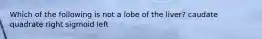 Which of the following is not a lobe of the liver? caudate quadrate right sigmoid left