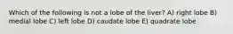 Which of the following is not a lobe of the liver? A) right lobe B) medial lobe C) left lobe D) caudate lobe E) quadrate lobe