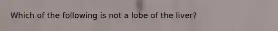 Which of the following is not a lobe of the liver?