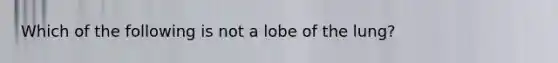 Which of the following is not a lobe of the lung?