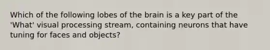 Which of the following lobes of the brain is a key part of the 'What' visual processing stream, containing neurons that have tuning for faces and objects?