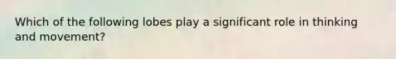 Which of the following lobes play a significant role in thinking and movement?