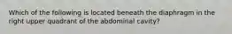 Which of the following is located beneath the diaphragm in the right upper quadrant of the abdominal cavity?