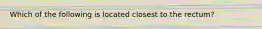 Which of the following is located closest to the rectum?