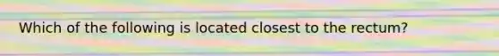 Which of the following is located closest to the rectum?