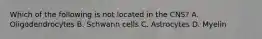 Which of the following is not located in the CNS? A. Oligodendrocytes B. Schwann cells C. Astrocytes D. Myelin