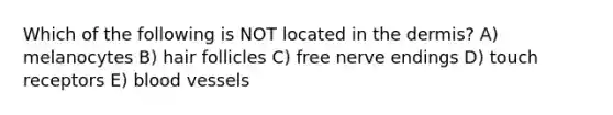 Which of the following is NOT located in the dermis? A) melanocytes B) hair follicles C) free nerve endings D) touch receptors E) blood vessels