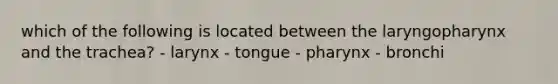 which of the following is located between the laryngopharynx and the trachea? - larynx - tongue - pharynx - bronchi