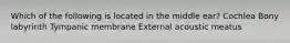 Which of the following is located in the middle ear? Cochlea Bony labyrinth Tympanic membrane External acoustic meatus