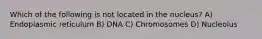 Which of the following is not located in the nucleus? A) Endoplasmic reticulum B) DNA C) Chromosomes D) Nucleolus