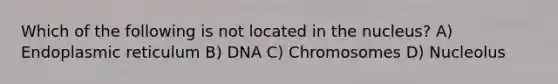 Which of the following is not located in the nucleus? A) Endoplasmic reticulum B) DNA C) Chromosomes D) Nucleolus