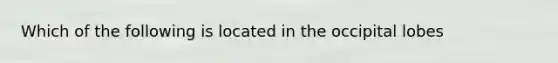 Which of the following is located in the occipital lobes