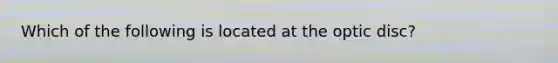 Which of the following is located at the optic disc?