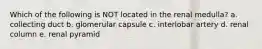 Which of the following is NOT located in the renal medulla? a. collecting duct b. glomerular capsule c. interlobar artery d. renal column e. renal pyramid