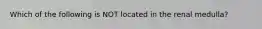 Which of the following is NOT located in the renal medulla?