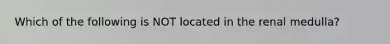 Which of the following is NOT located in the renal medulla?