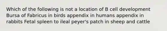 Which of the following is not a location of B cell development Bursa of Fabricus in birds appendix in humans appendix in rabbits Fetal spleen to ileal peyer's patch in sheep and cattle