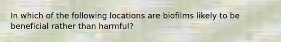 In which of the following locations are biofilms likely to be beneficial rather than harmful?