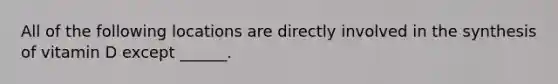 All of the following locations are directly involved in the synthesis of vitamin D except ______.