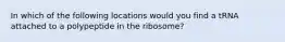 In which of the following locations would you find a tRNA attached to a polypeptide in the ribosome?