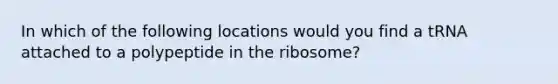 In which of the following locations would you find a tRNA attached to a polypeptide in the ribosome?