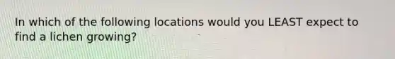 In which of the following locations would you LEAST expect to find a lichen growing?