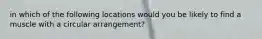 in which of the following locations would you be likely to find a muscle with a circular arrangement?