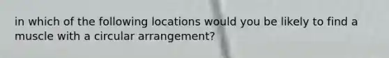 in which of the following locations would you be likely to find a muscle with a circular arrangement?