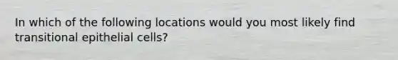 In which of the following locations would you most likely find transitional epithelial cells?