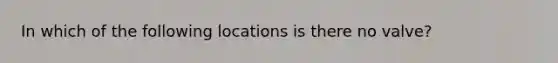 In which of the following locations is there no valve?