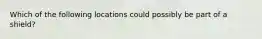 Which of the following locations could possibly be part of a shield?