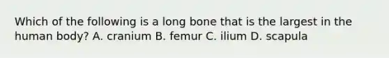 Which of the following is a long bone that is the largest in the human body? A. cranium B. femur C. ilium D. scapula