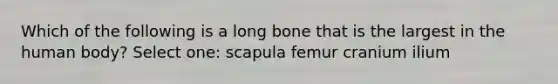 Which of the following is a long bone that is the largest in the human body? Select one: scapula femur cranium ilium