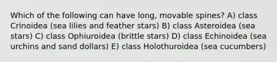 Which of the following can have long, movable spines? A) class Crinoidea (sea lilies and feather stars) B) class Asteroidea (sea stars) C) class Ophiuroidea (brittle stars) D) class Echinoidea (sea urchins and sand dollars) E) class Holothuroidea (sea cucumbers)